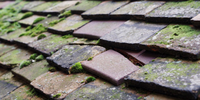 Little Dunmow roof repair costs